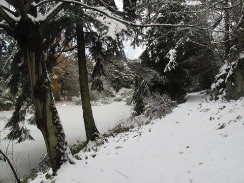 more snow nov 2019 022.JPG - Smeaton Lake - Hamish Scott
